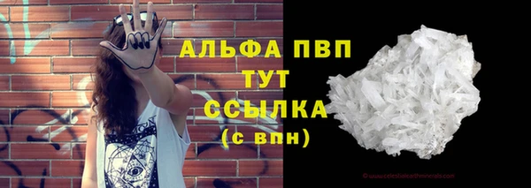 амф Козловка