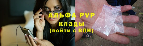 гашик Кодинск