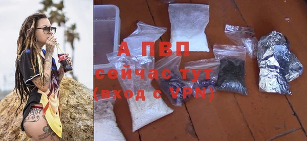амф Козловка